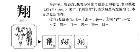 翔 五行|翔字五行属什么